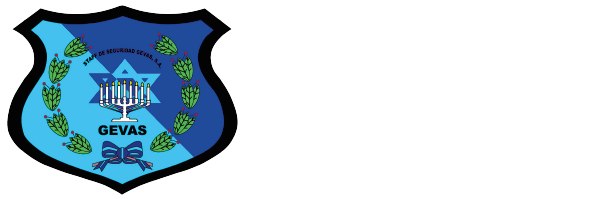 seguridadgevas.com